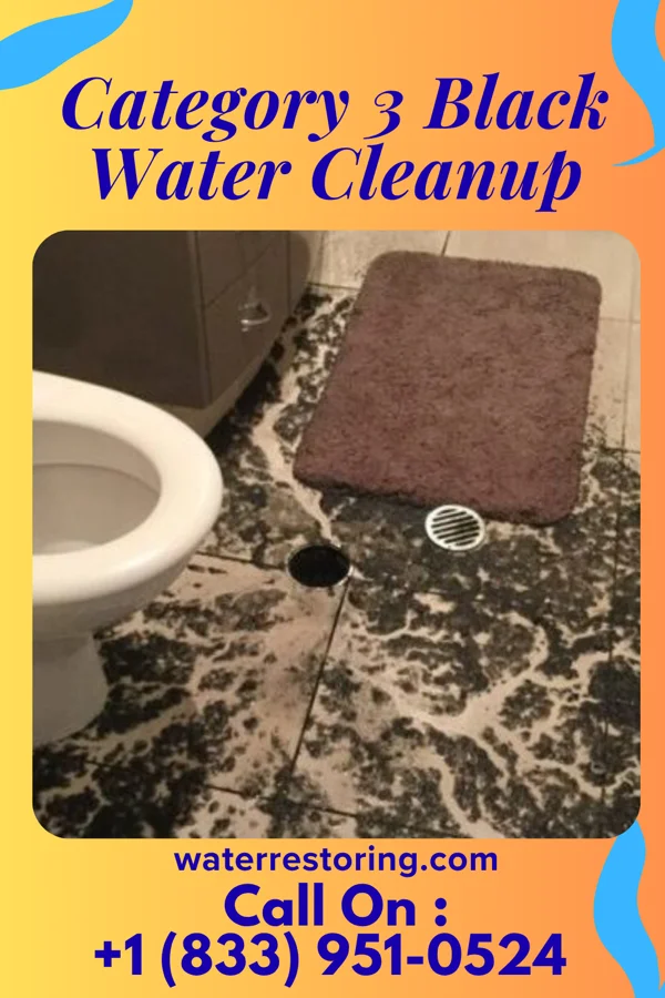 Category 3 Black Water Cleanup in Beattystown, NJ