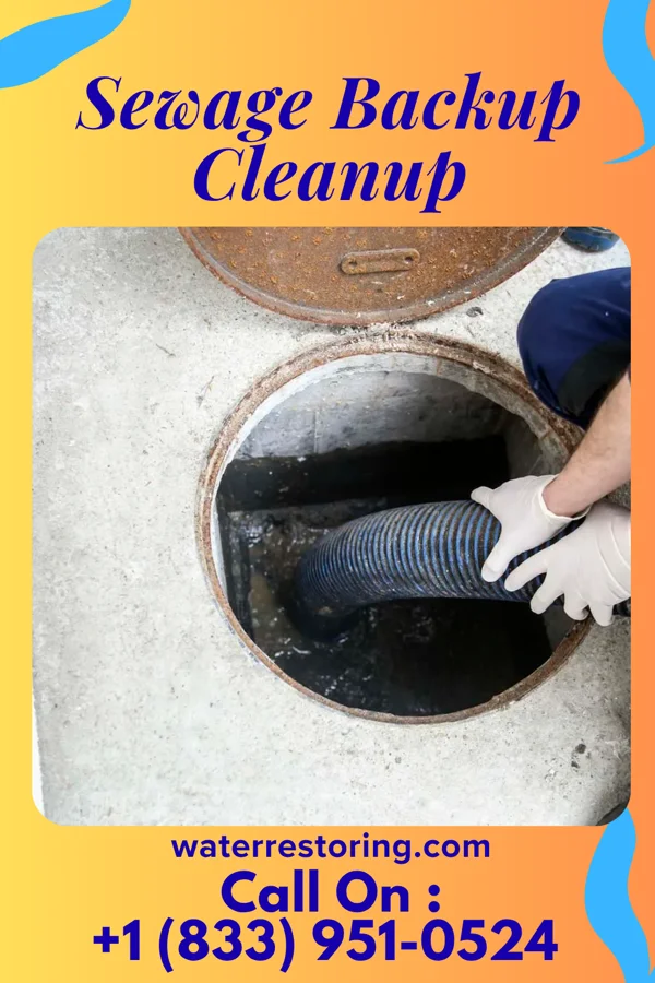 Sewage Backup Cleanup in Beattystown, NJ