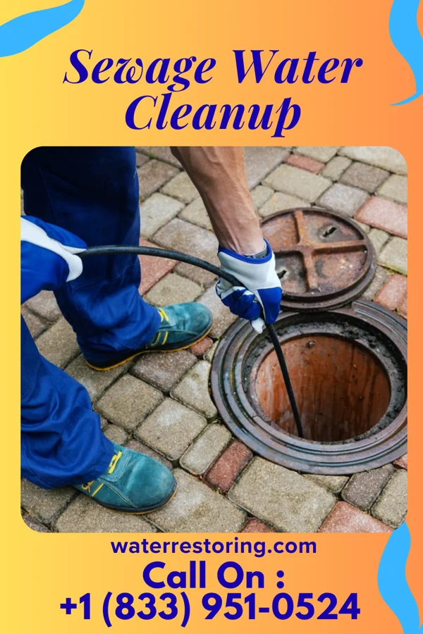 Sewage Water Cleanup in Beattystown, NJ