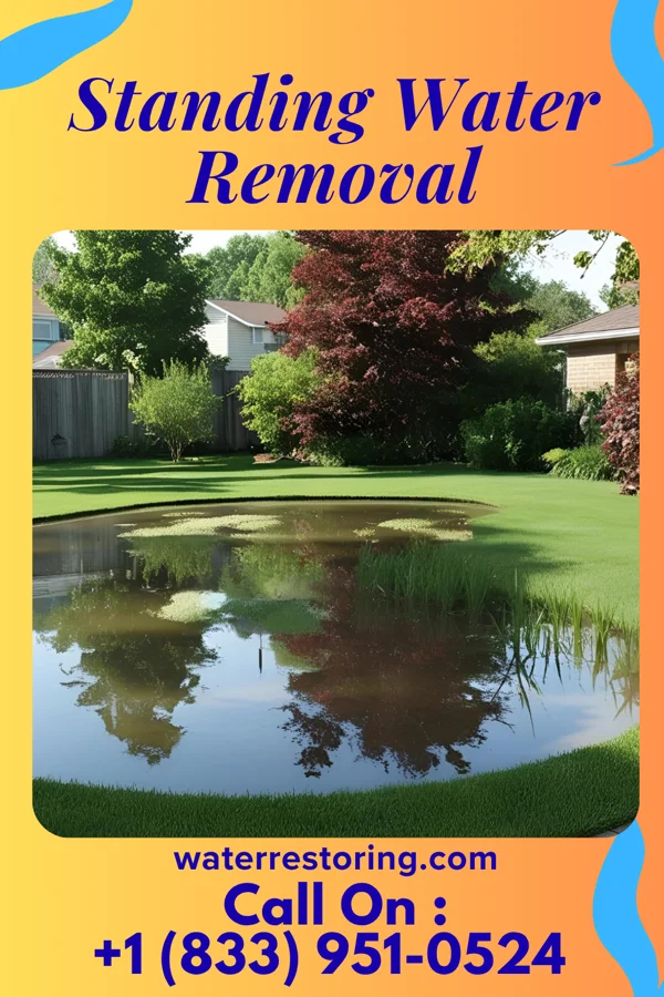 Standing Water Removal in Beattystown, NJ